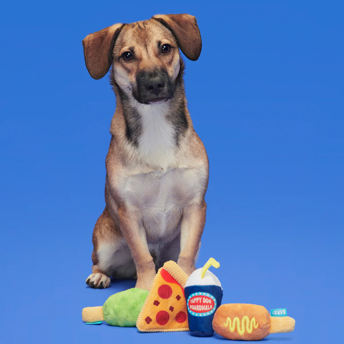 Thrill Squeaker Snacks Plush Multi-Part Dog Toy