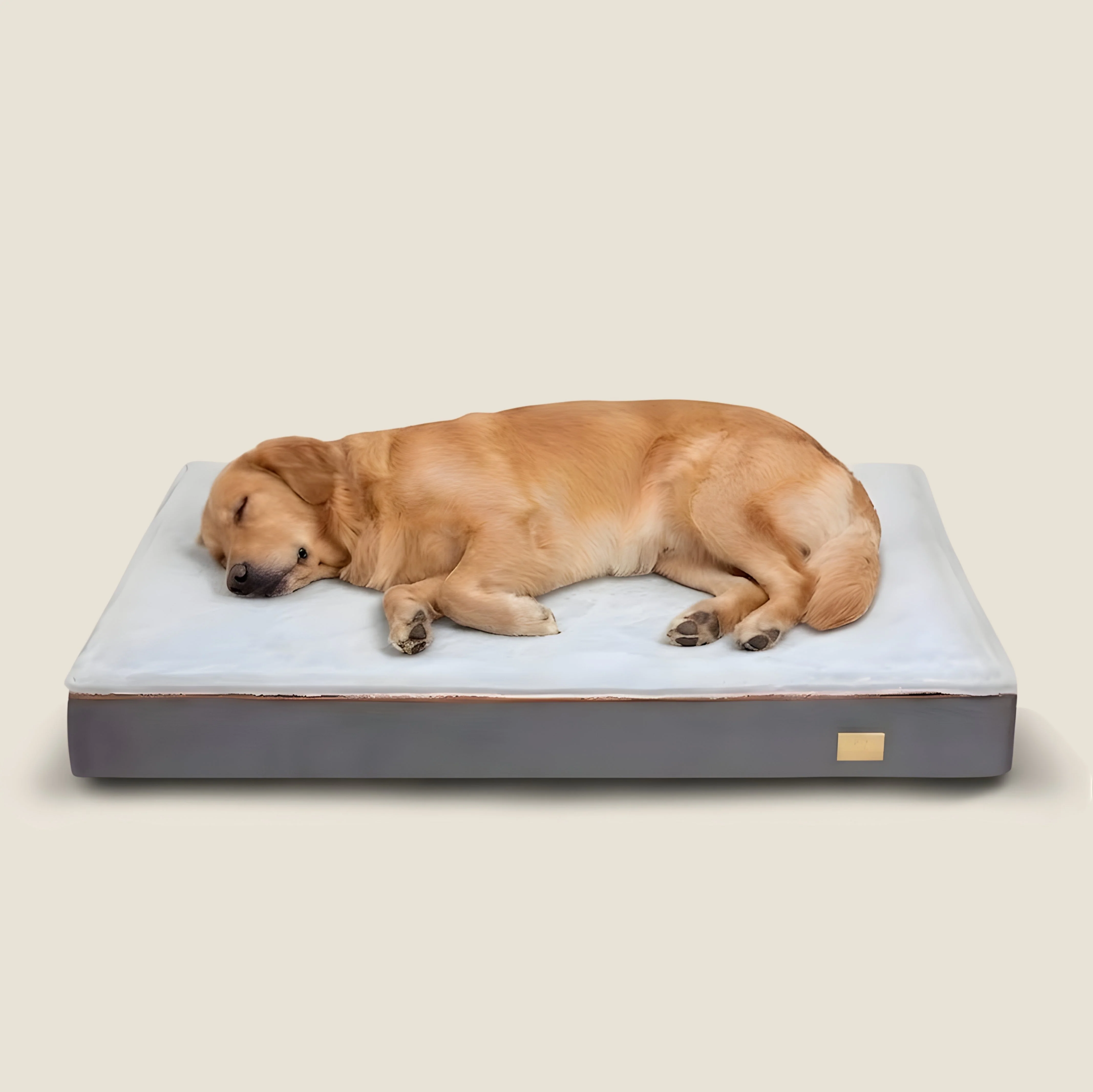 Flat Orthopedic Dog Bed