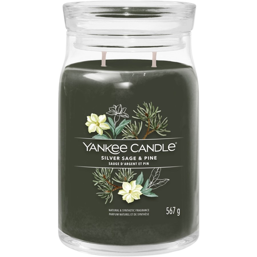 Yankee Candle Świeca wotywna w szkle Silver Sage + Pine