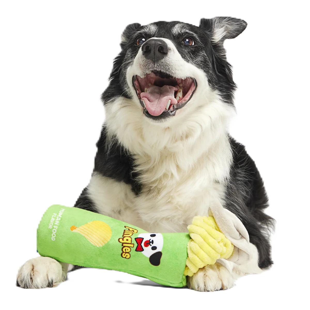 Flingles Can Plush Tug Dog Toy