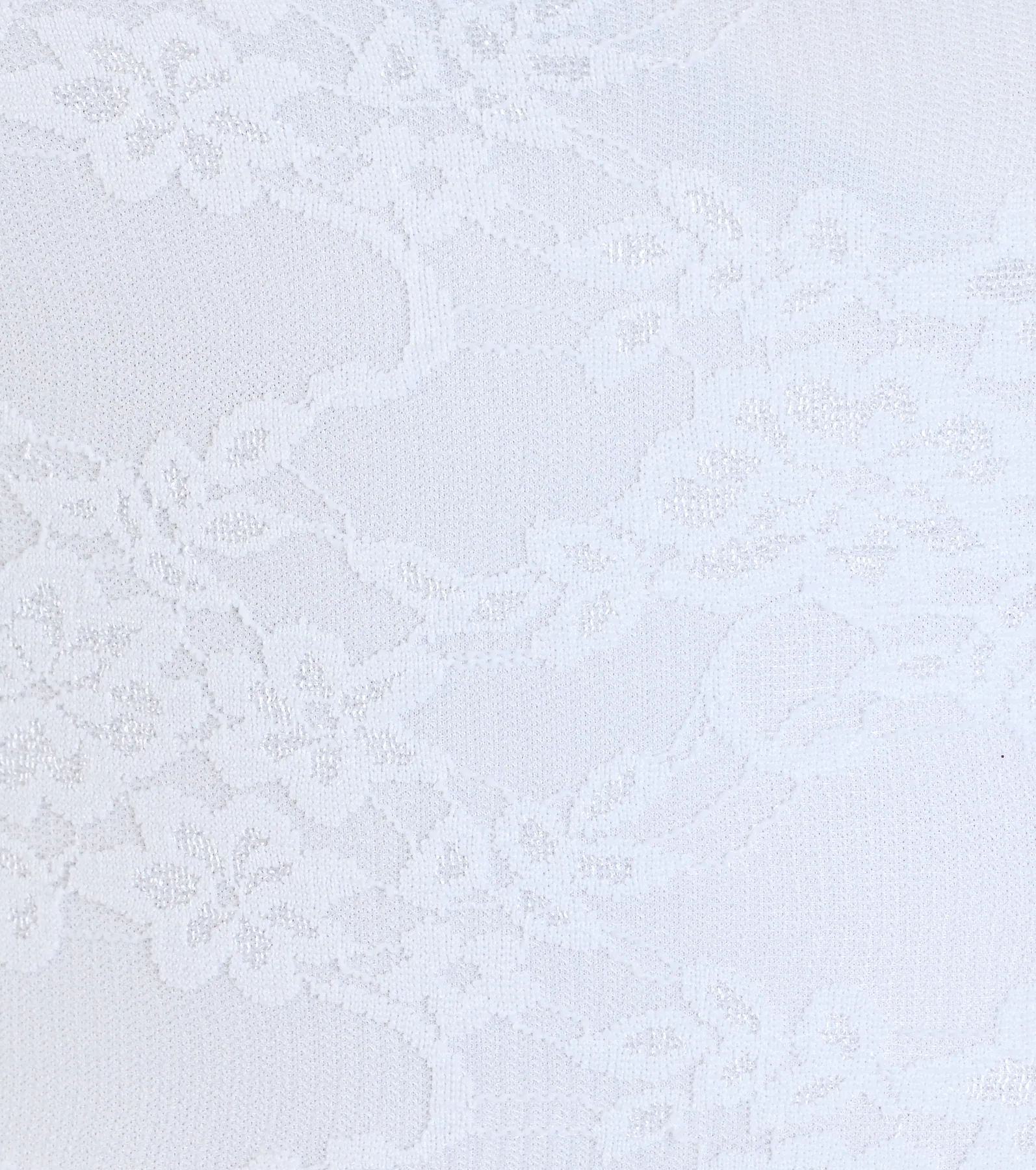 Adorable Muse Ruffled Lace Skater Dress