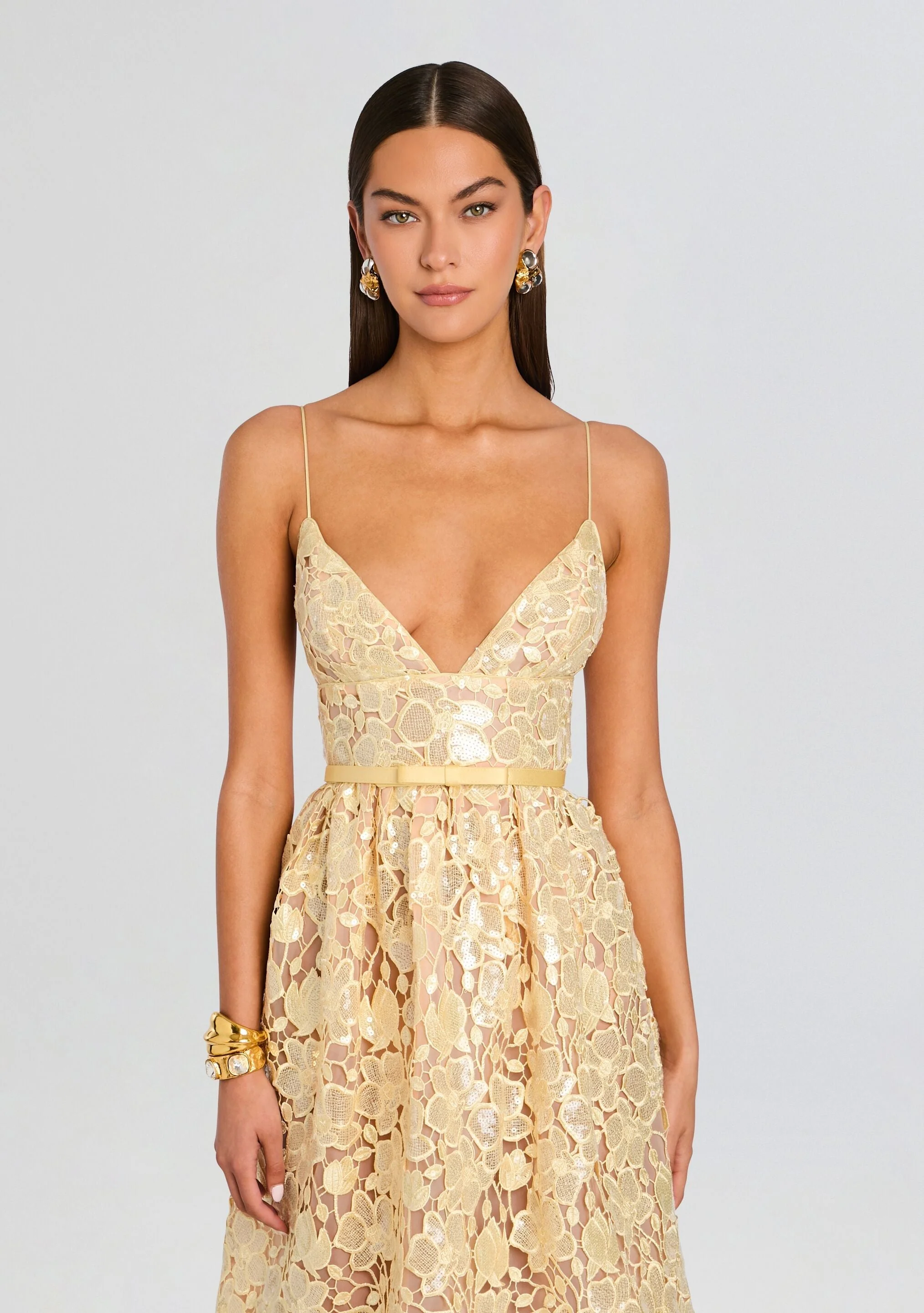 Eulalia Sequin Lace Dress