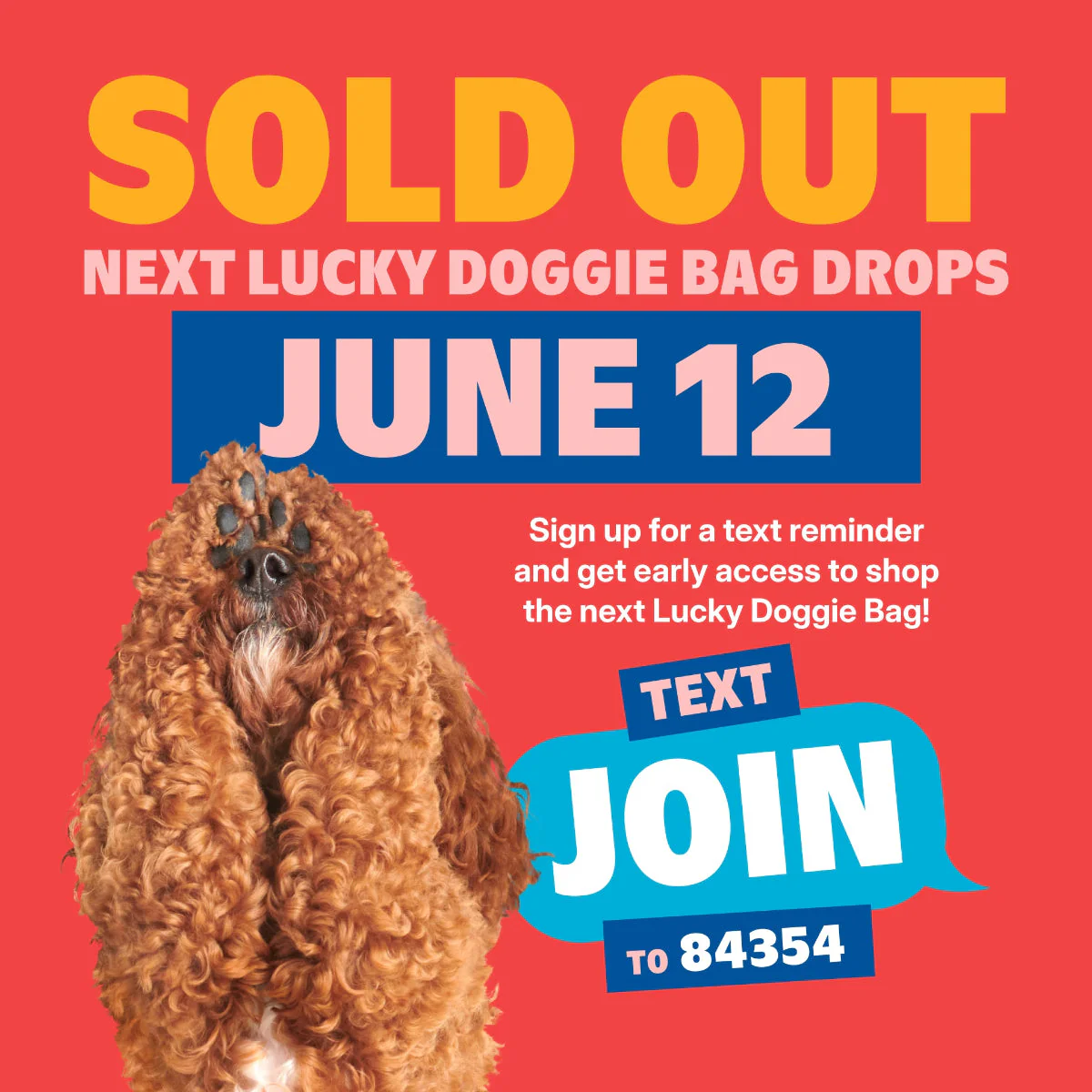 Lucky Doggie Bag
