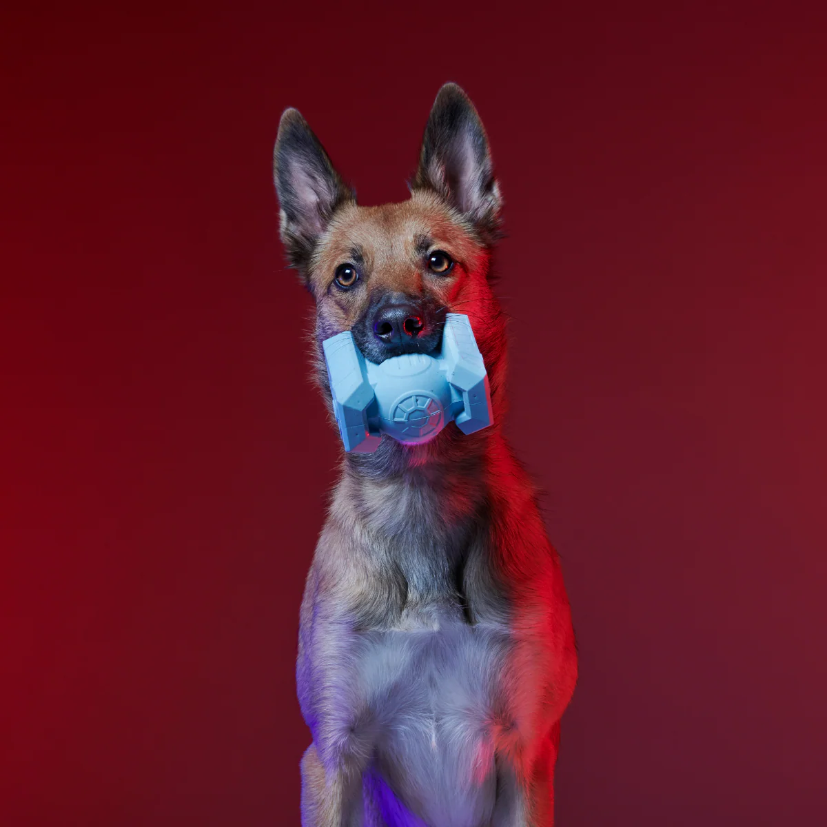 TIE Fighter™ Biter Super Chewer Durable Fetch + Gnaw Dog Toy