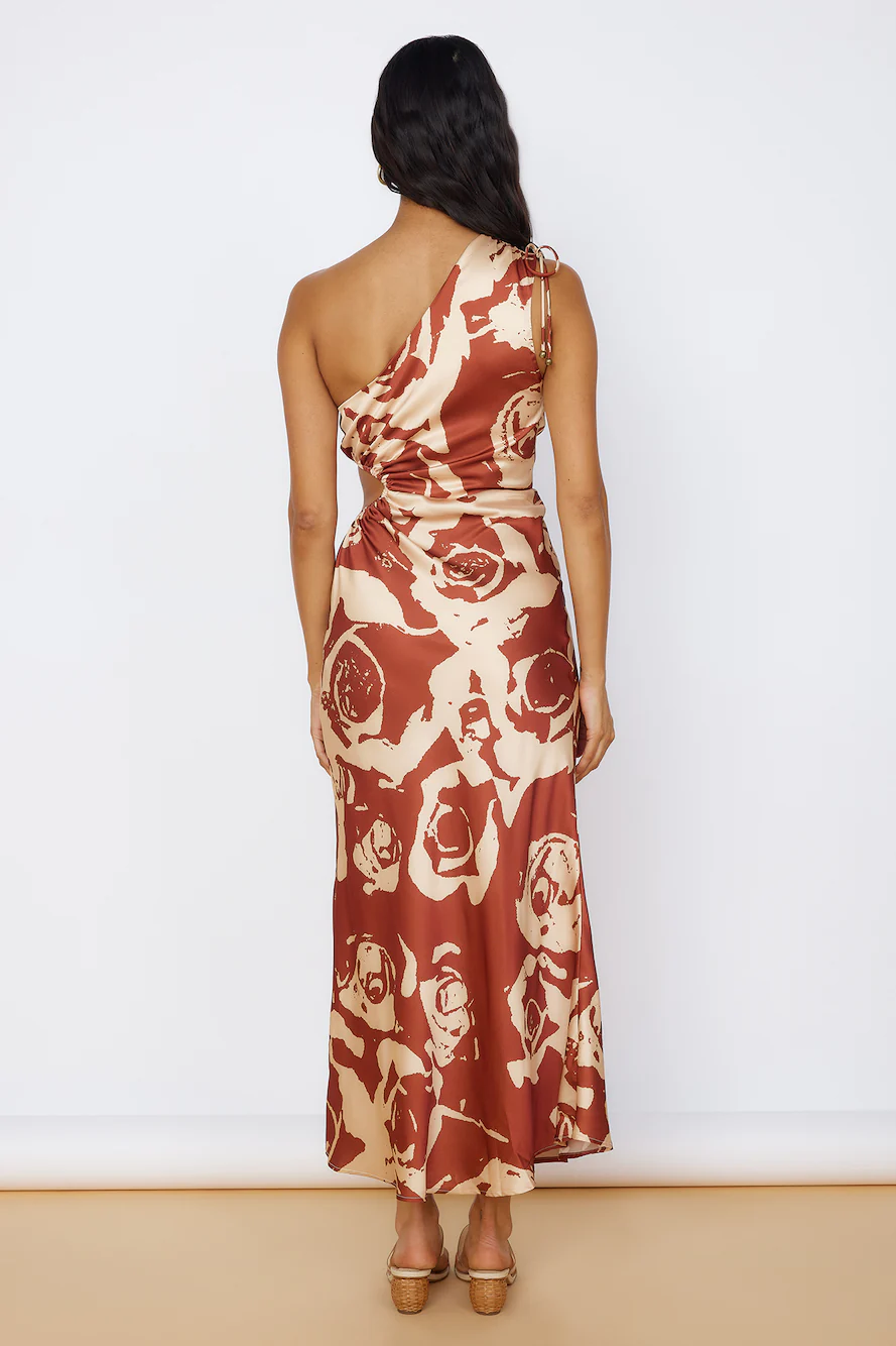 Fulfilled Dreams Maxi Dress Brown