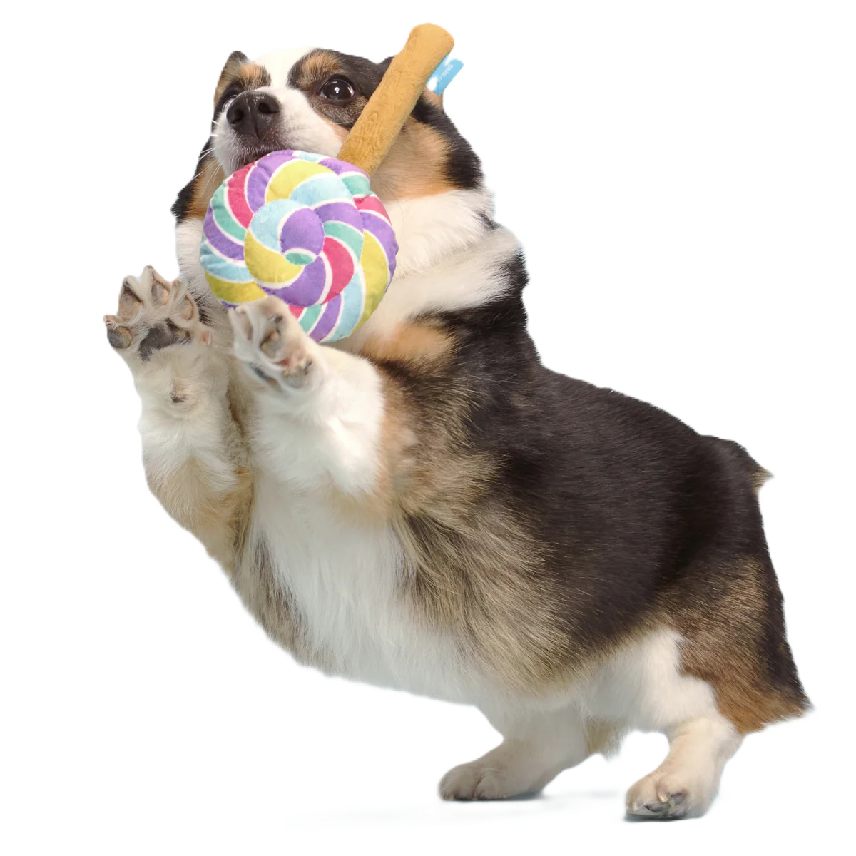 Lick-A-Lot Lollipop Plush Tug Dog Toy