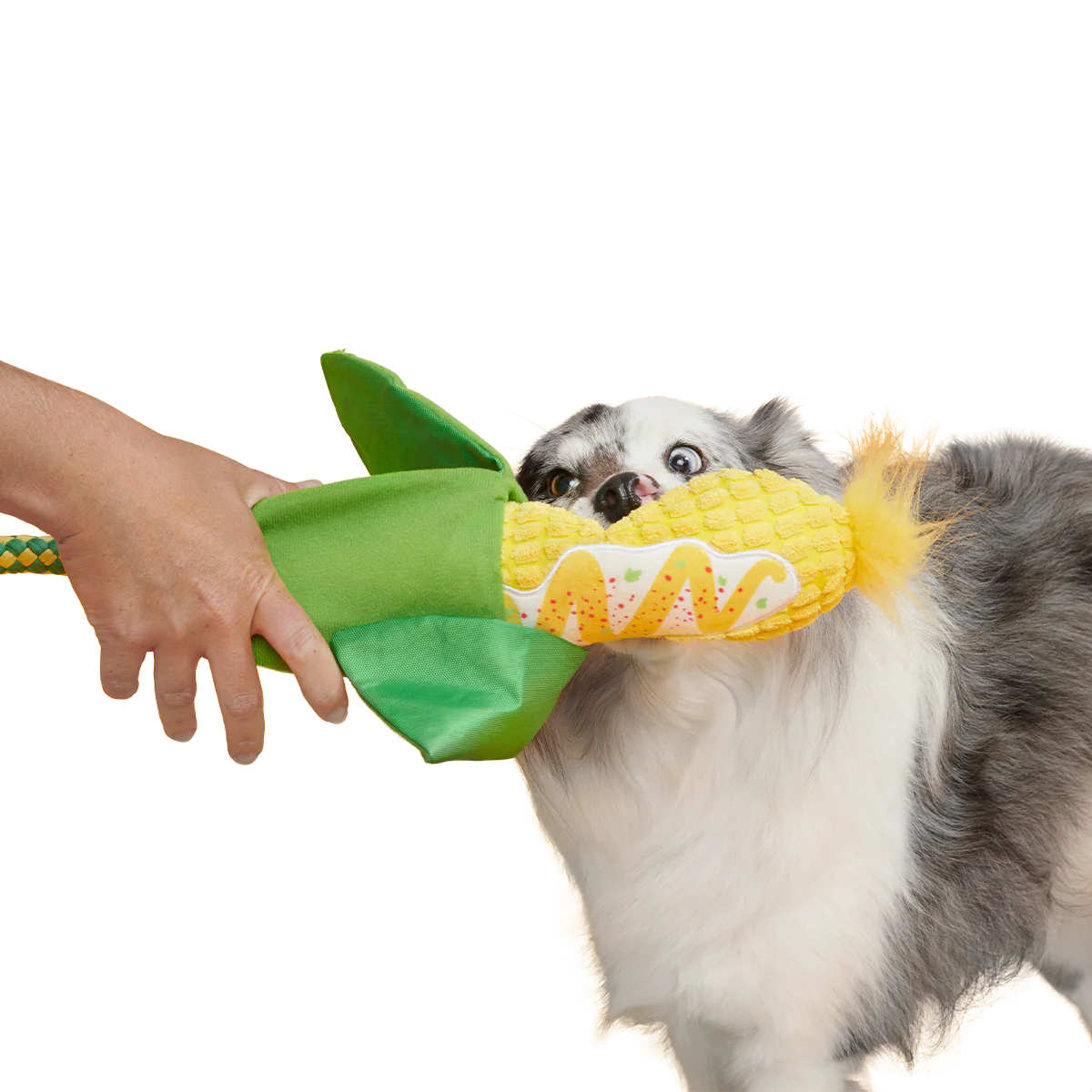Elote Fun Corn Plush Tug Dog Toy