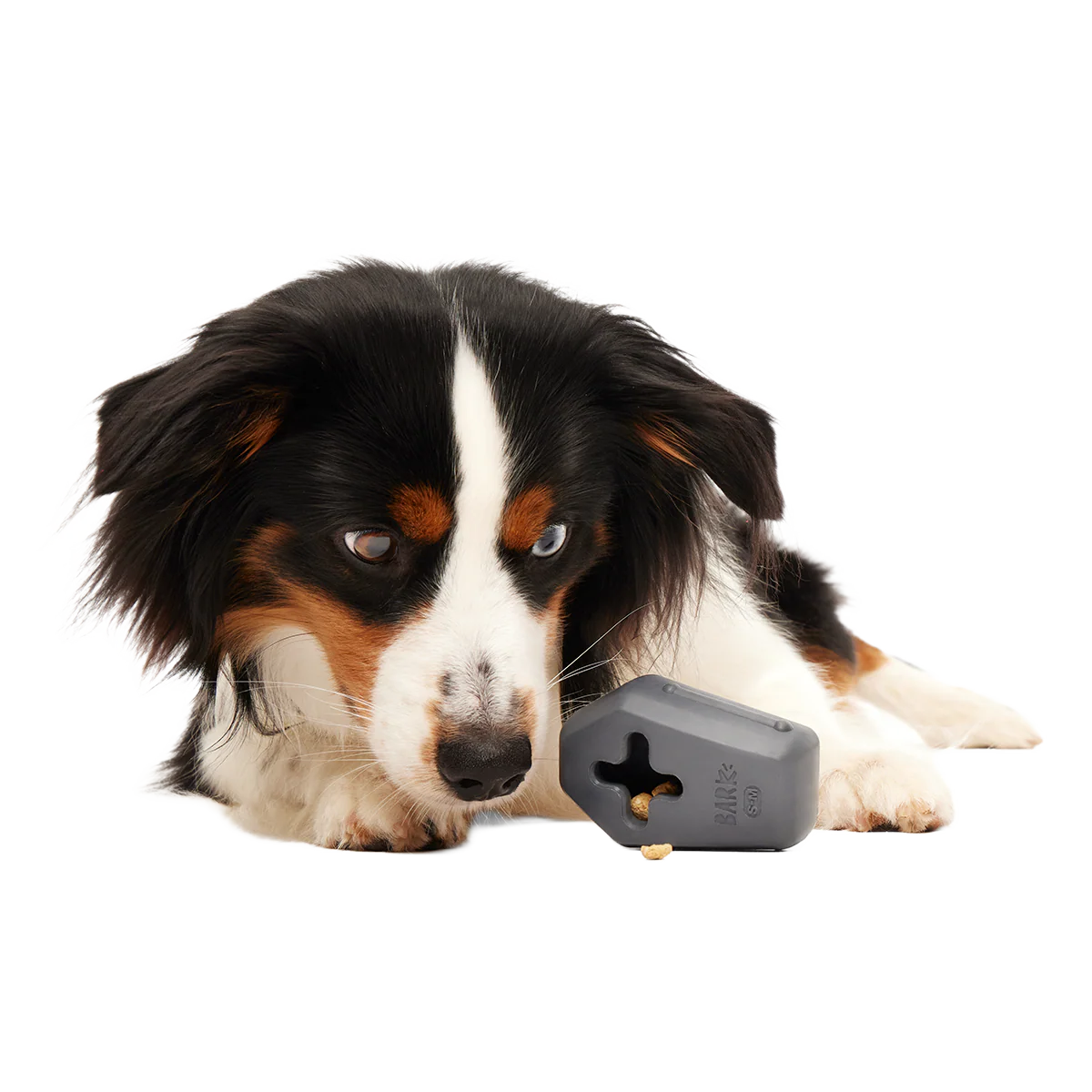 Snack Casket Super Chewer Durable Enrichment Dog Toy
