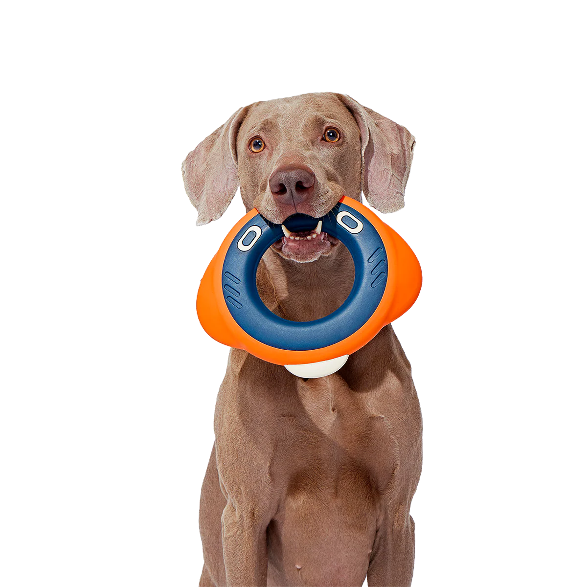 Flingray Super Chewer Durable Fetch Dog Toy