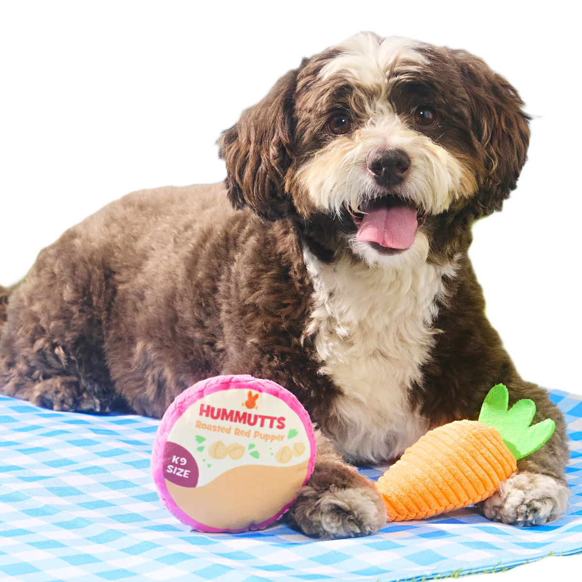 Carrot & Hummutts Plush Multi-Part Dog Toy