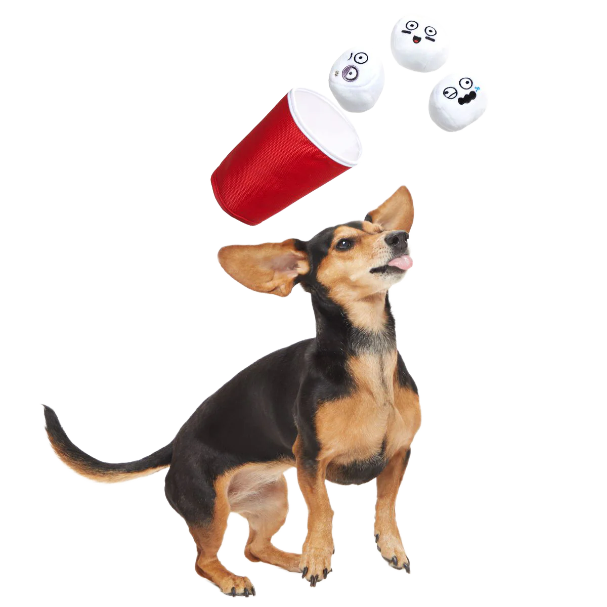 Bark Pong Cup Plush Multi-Part + Fetch Dog Toy