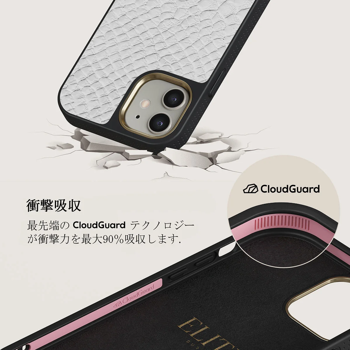 Glacial Desert - White Snakeskin iPhone 12 ケース