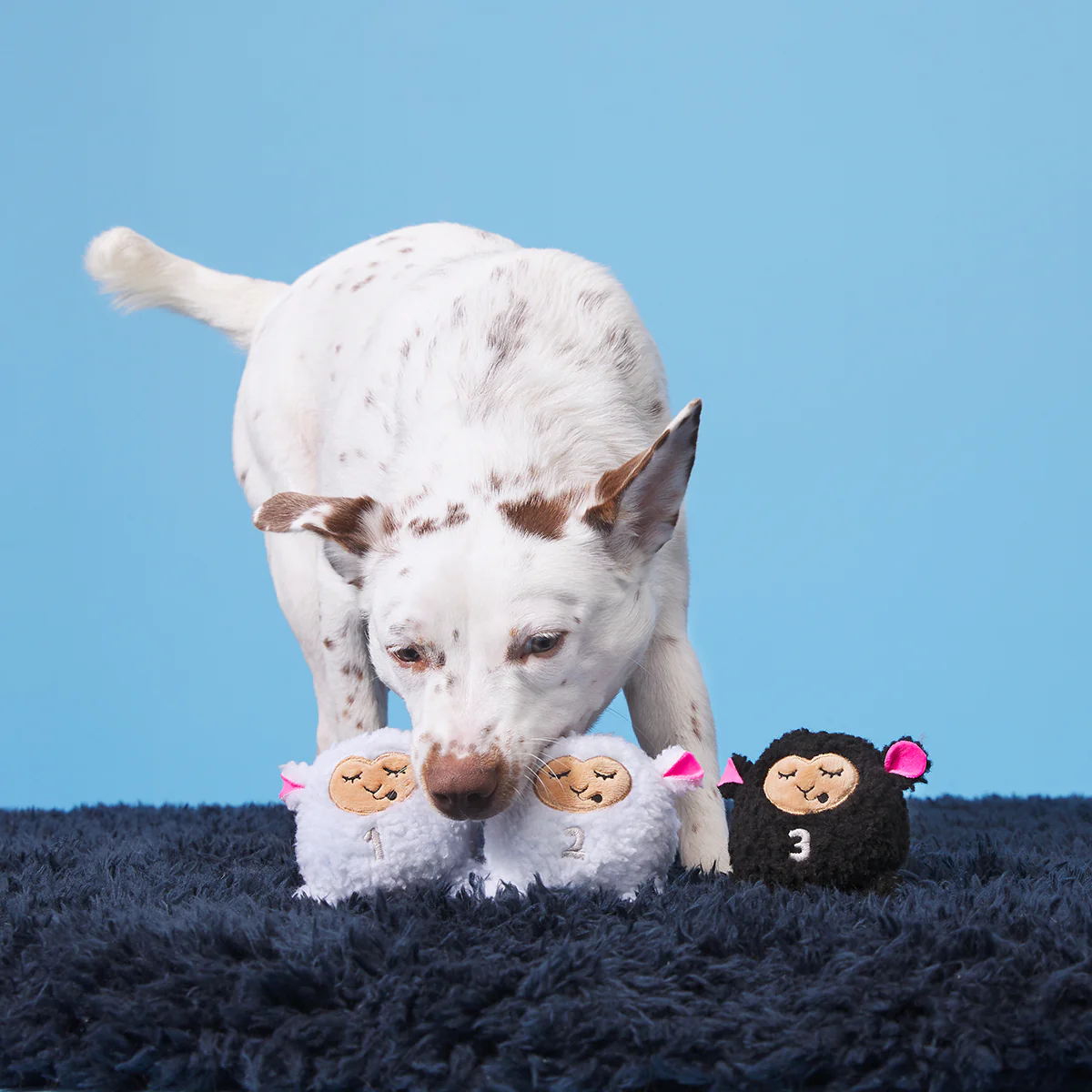 Baa Baa Bark Sheep Plush Multi-Part + Fetch Dog Toy