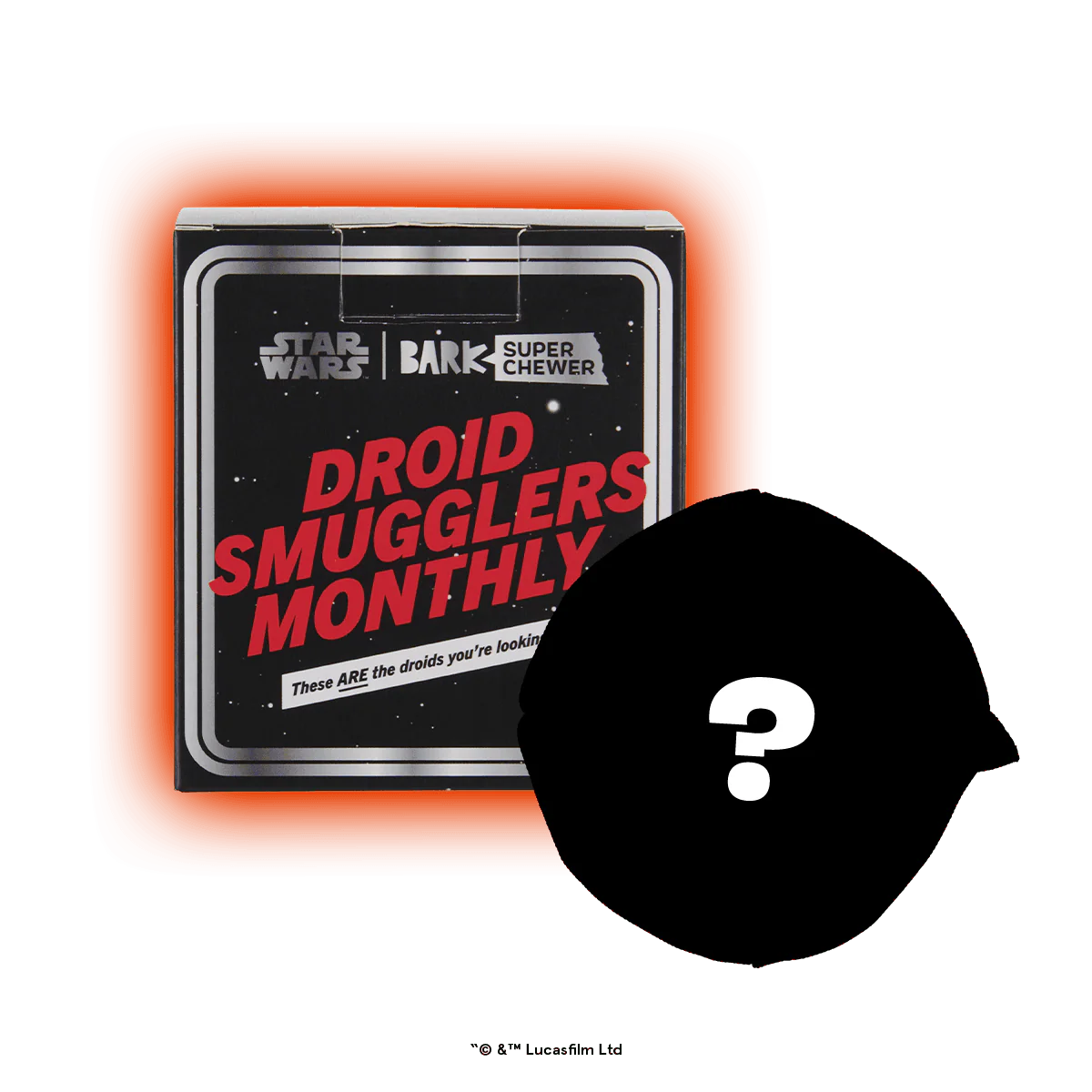 Star Wars™ Droid Smugglers Club, Super Chewer Durable Monthly Dog Toys