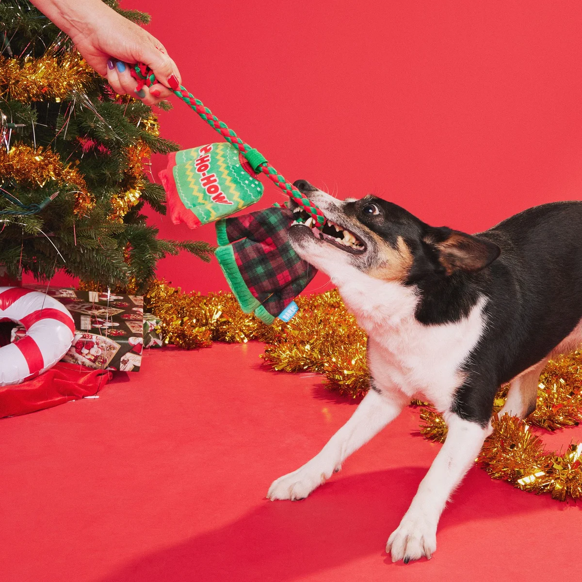 Christmutts Sweater Tug And Rope Plush Tug Dog Toy