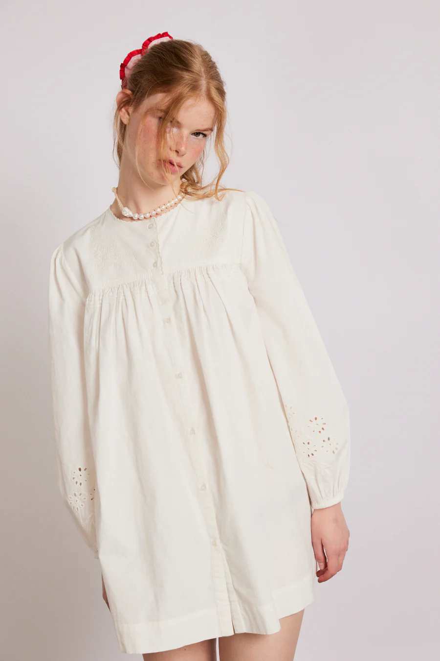 embroidered genevieve mini dress - luluinthesky