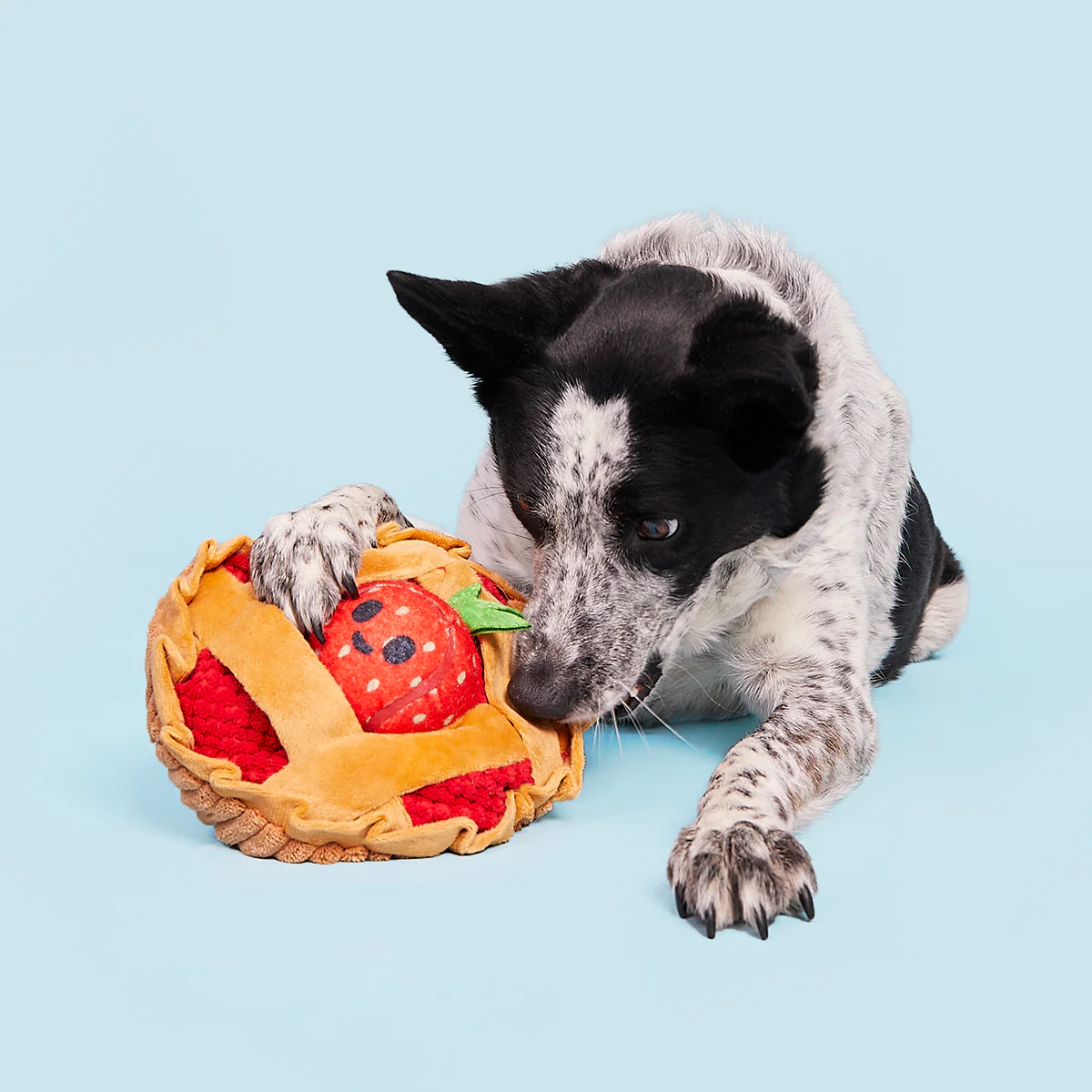 Strawberry Pie Plush Multi-Part + Enrichment Dog Toy