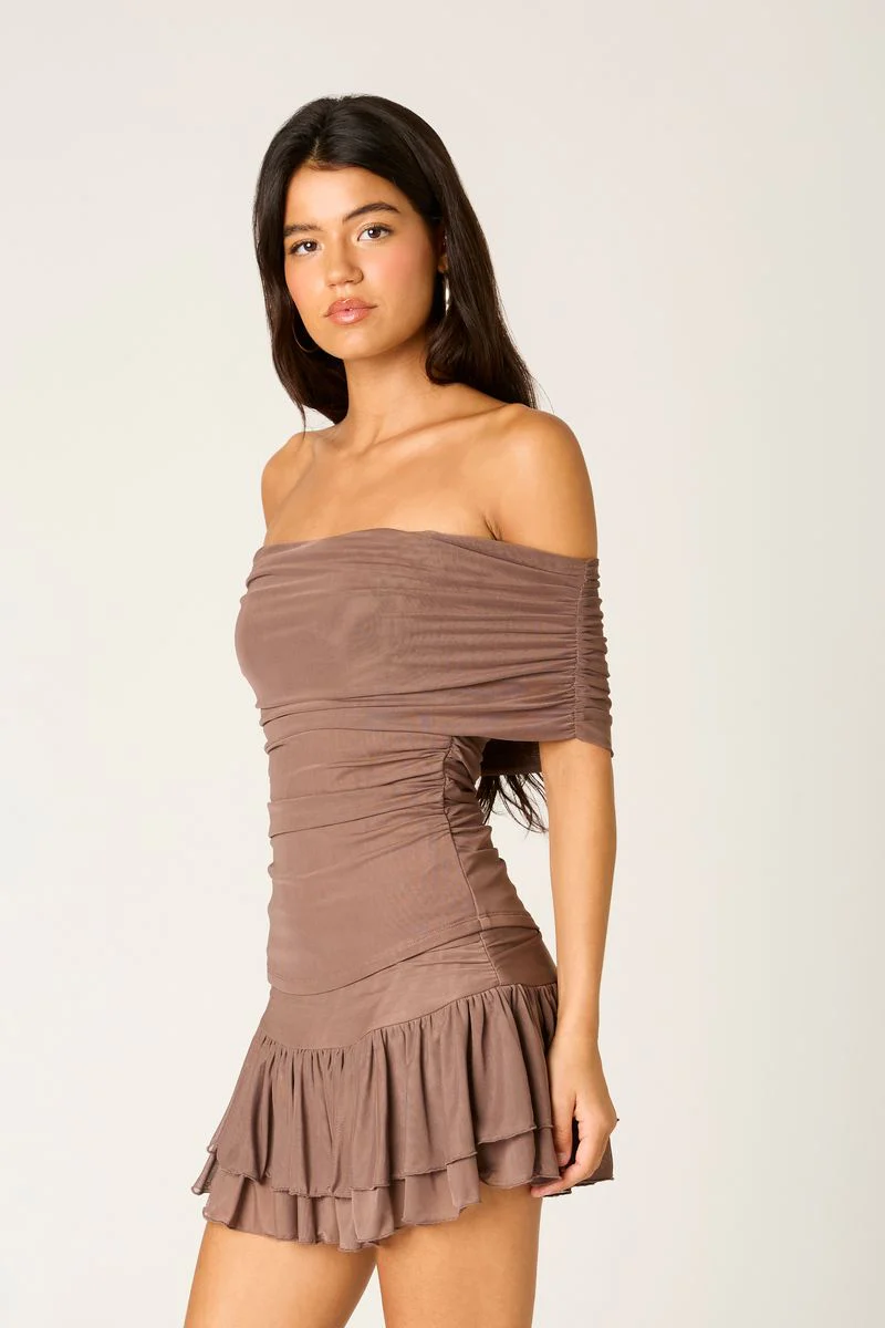 Off Shoulder Mesh Top