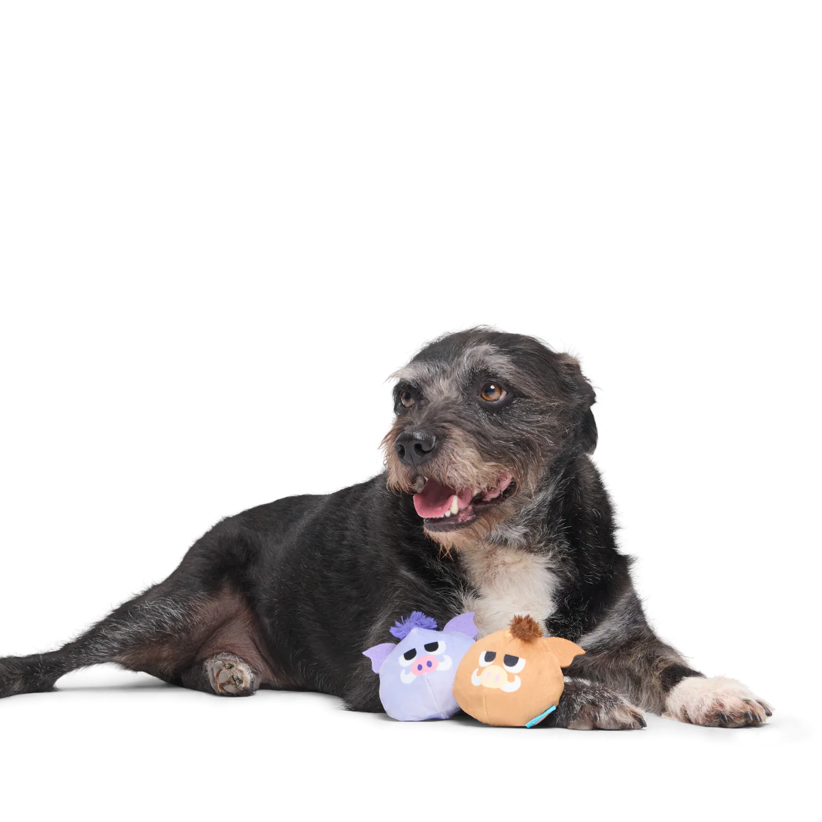 The Boar Bros Plush Multi-Part Dog Toy