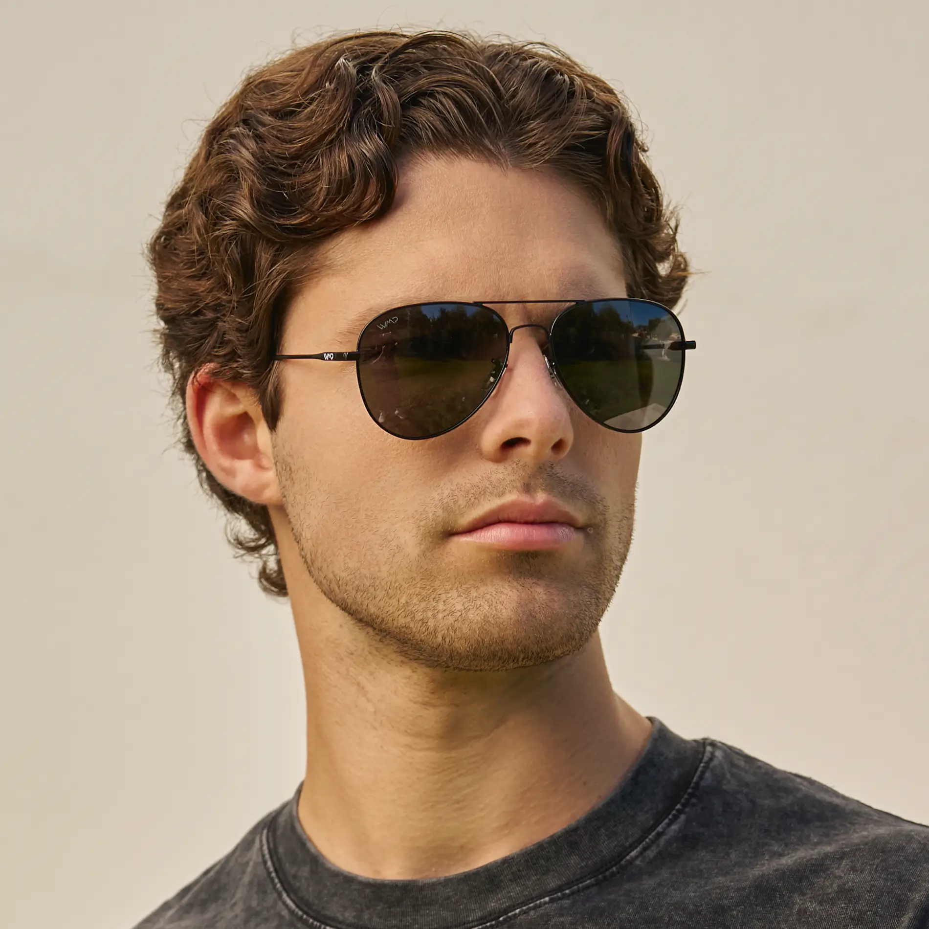 Maxwell | Polarized