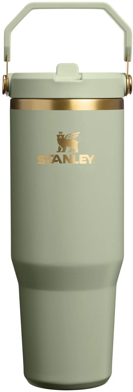 Stanley 30 oz. IceFlow 2.0 Flip Straw Tumbler - Juniper