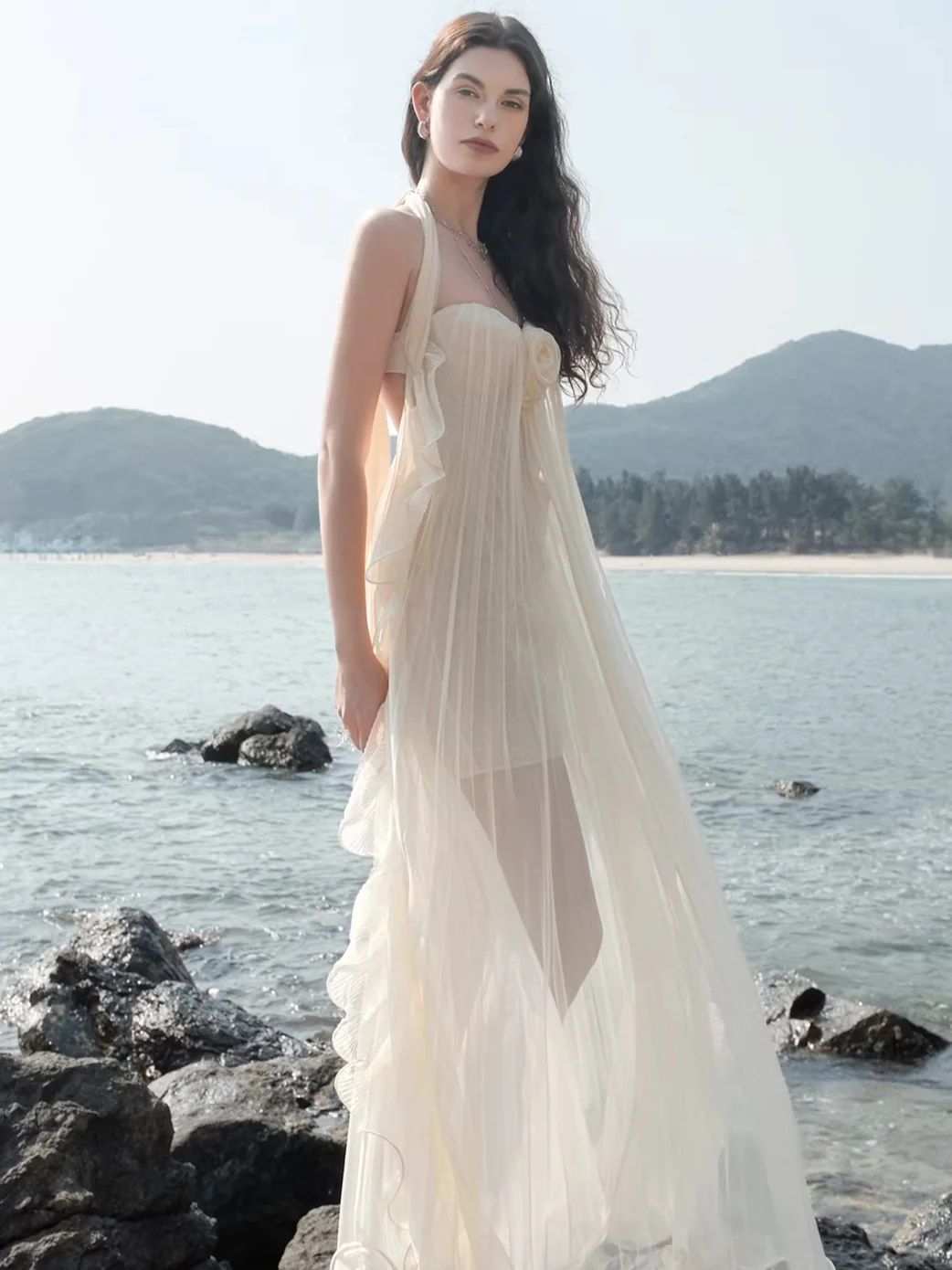 Mesh Halter Backless Strapless Maxi Dress