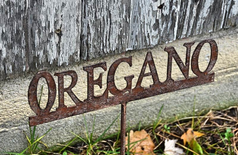 Metal Herb Garden Signs  Set Of 6