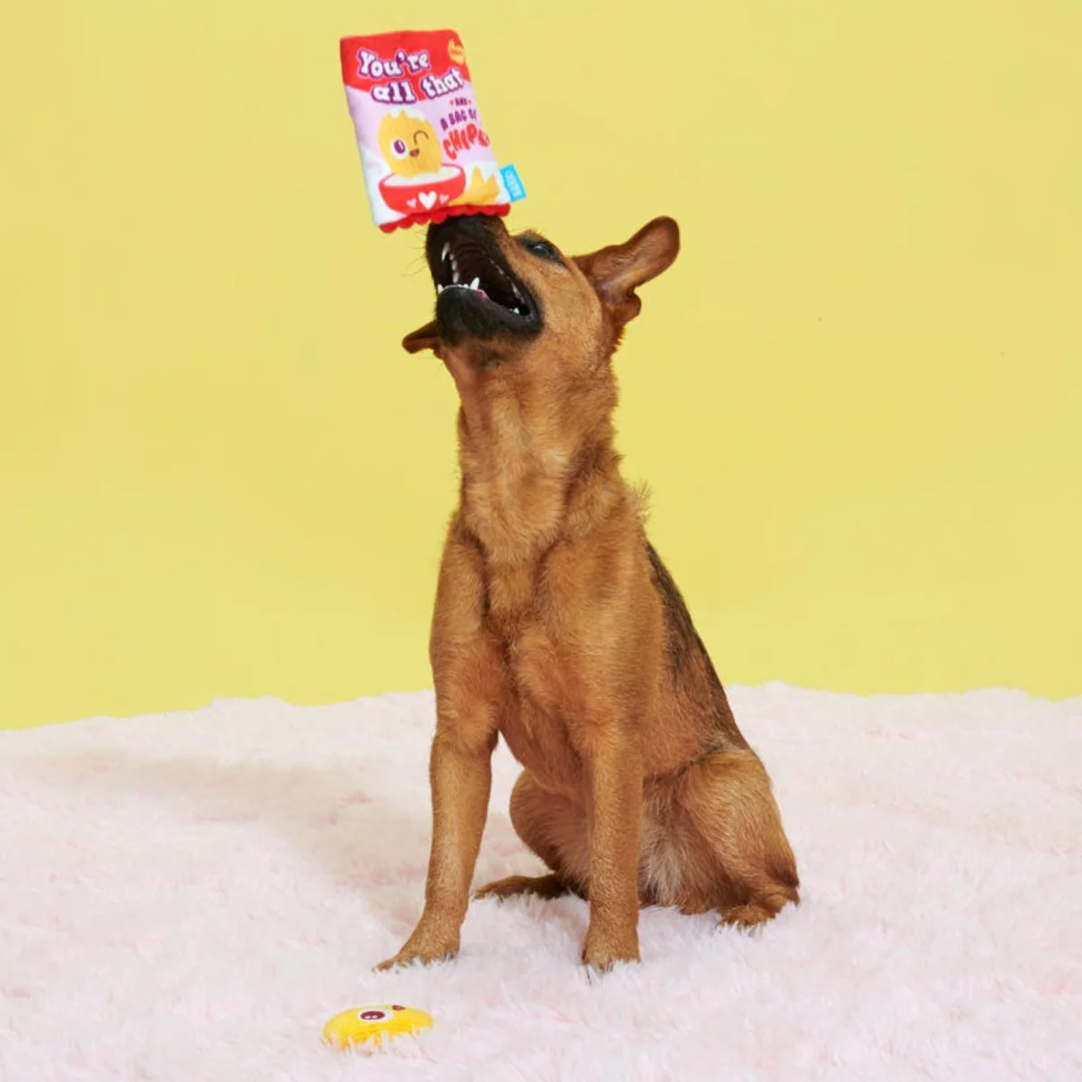 Smitten Chips Plush Enrichment + Multi-Part Dog Toy