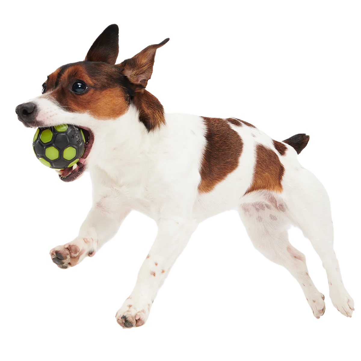World Pup Snacker Ball Super Chewer Durable Enrichment + Fetch Dog Toy