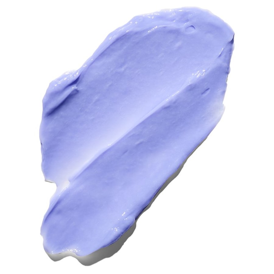 Schwarzkopf Professional Color Freeze Leczenie srebrem