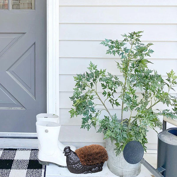 Chicken Boot Scraper