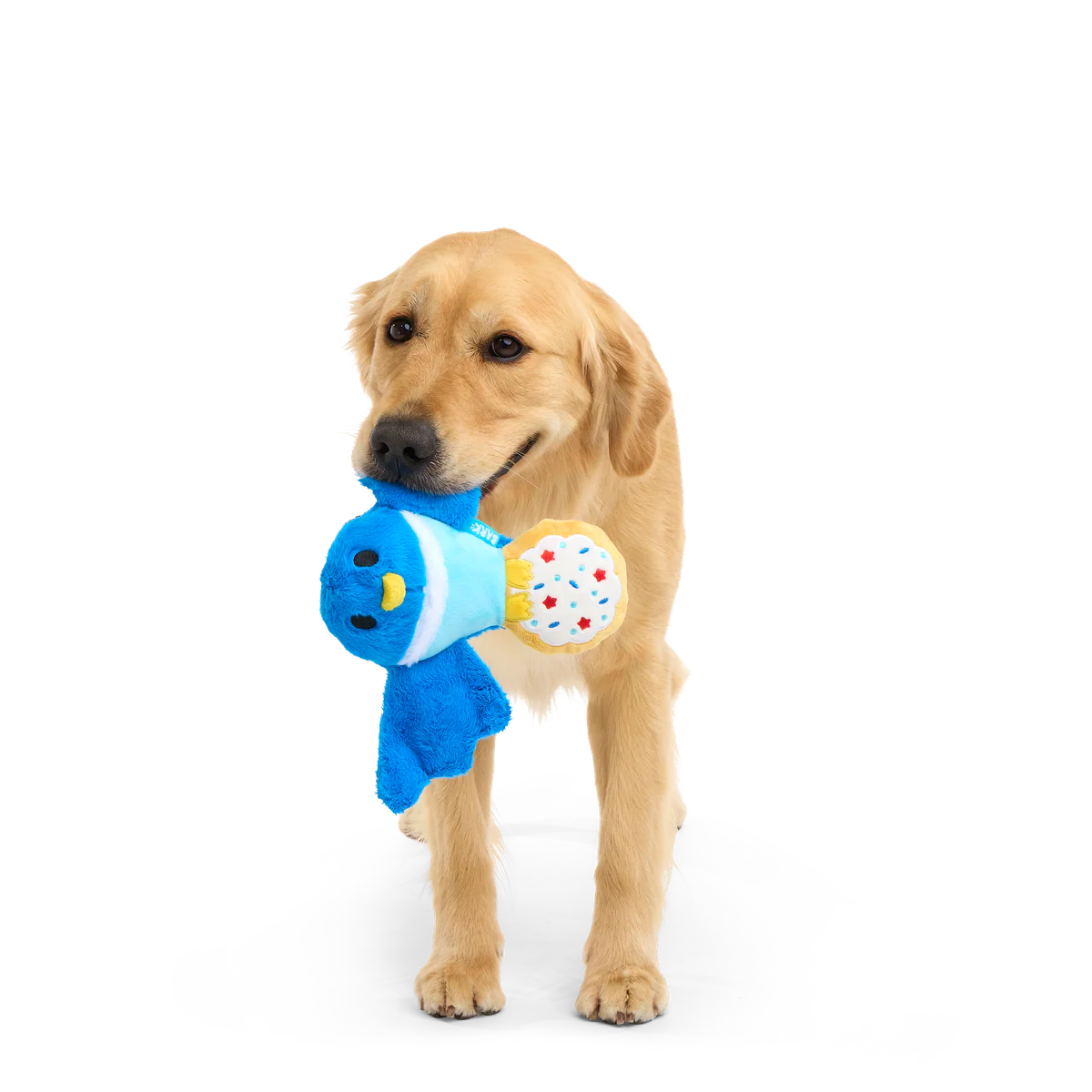 Barry The Blue Bird Plush Tug Dog Toy