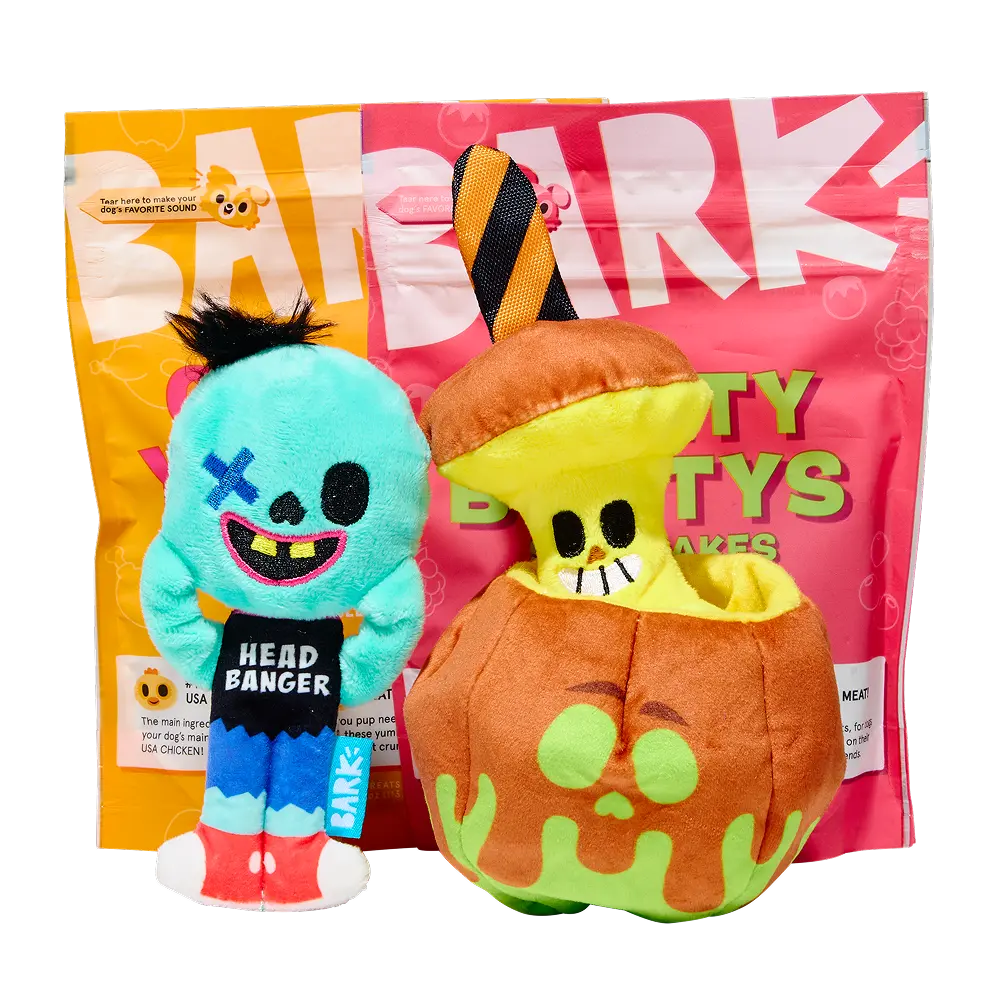 Bark Monthly Subscription + Cardboard Box