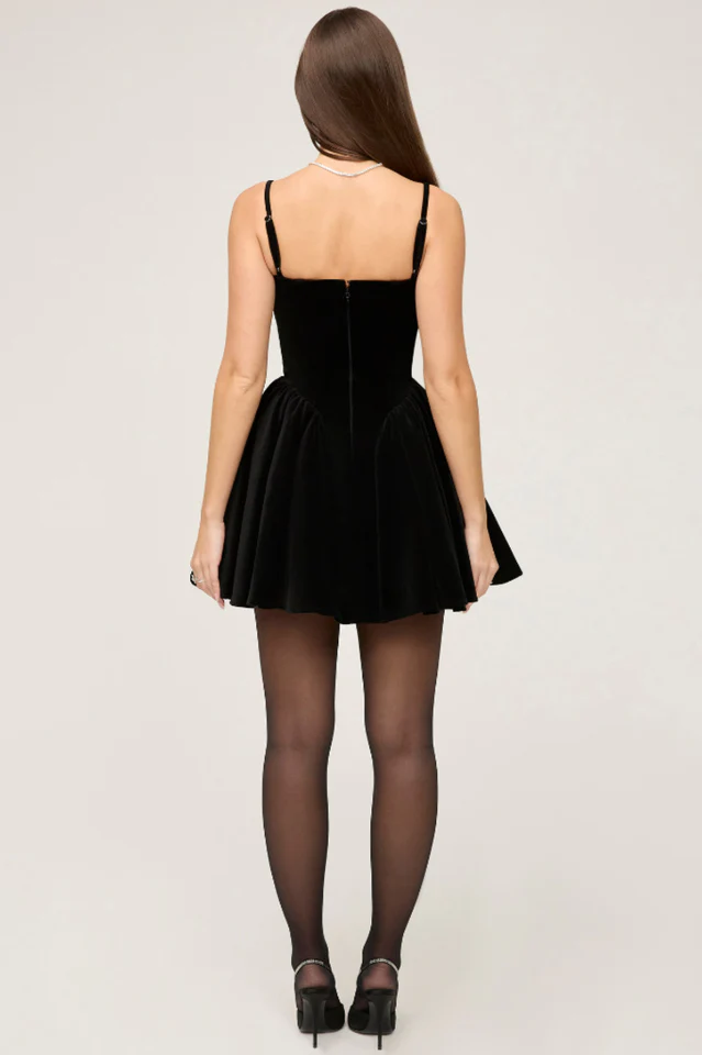 Selina Velvet Tulle Mini Dress