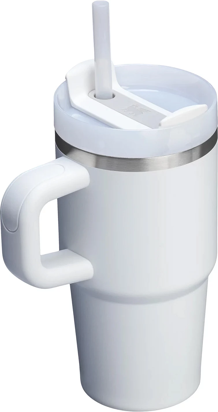 Stanley 20 oz. Quencher H2.0 FlowState Tumbler with Handle - Frost