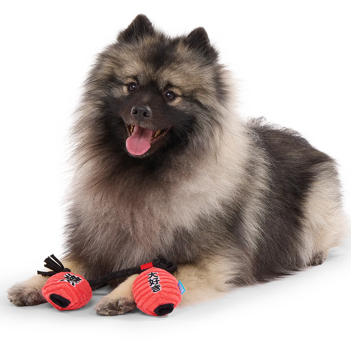 Pupper Lanterns Plush Tug Dog Toy
