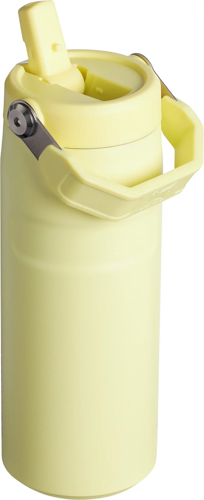 Stanley 16 oz. IceFlow Bottle with Flip Straw Lid - Pomelo