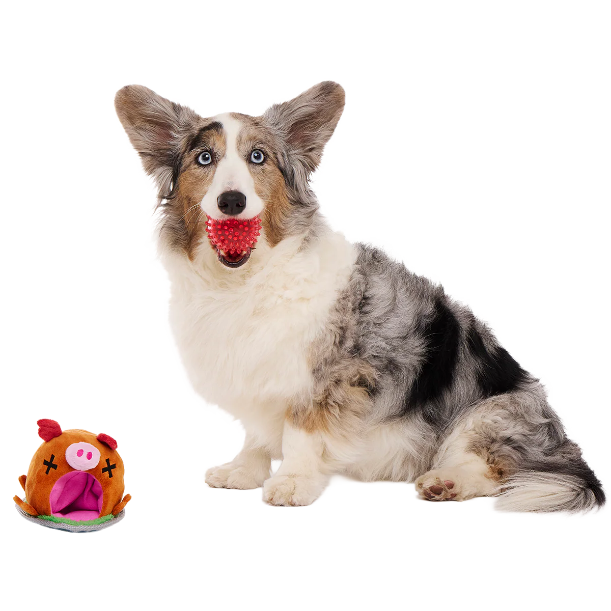 Squeakling Pig Plush Multi-Part + Enrichment + Fetch Dog Toy