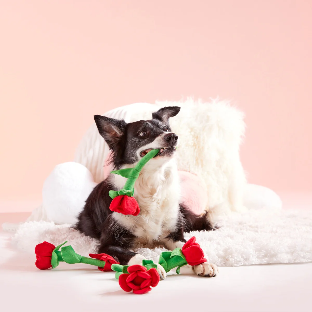 Bouquet Of Roses Plush Multi-Part + Tug Dog Toy