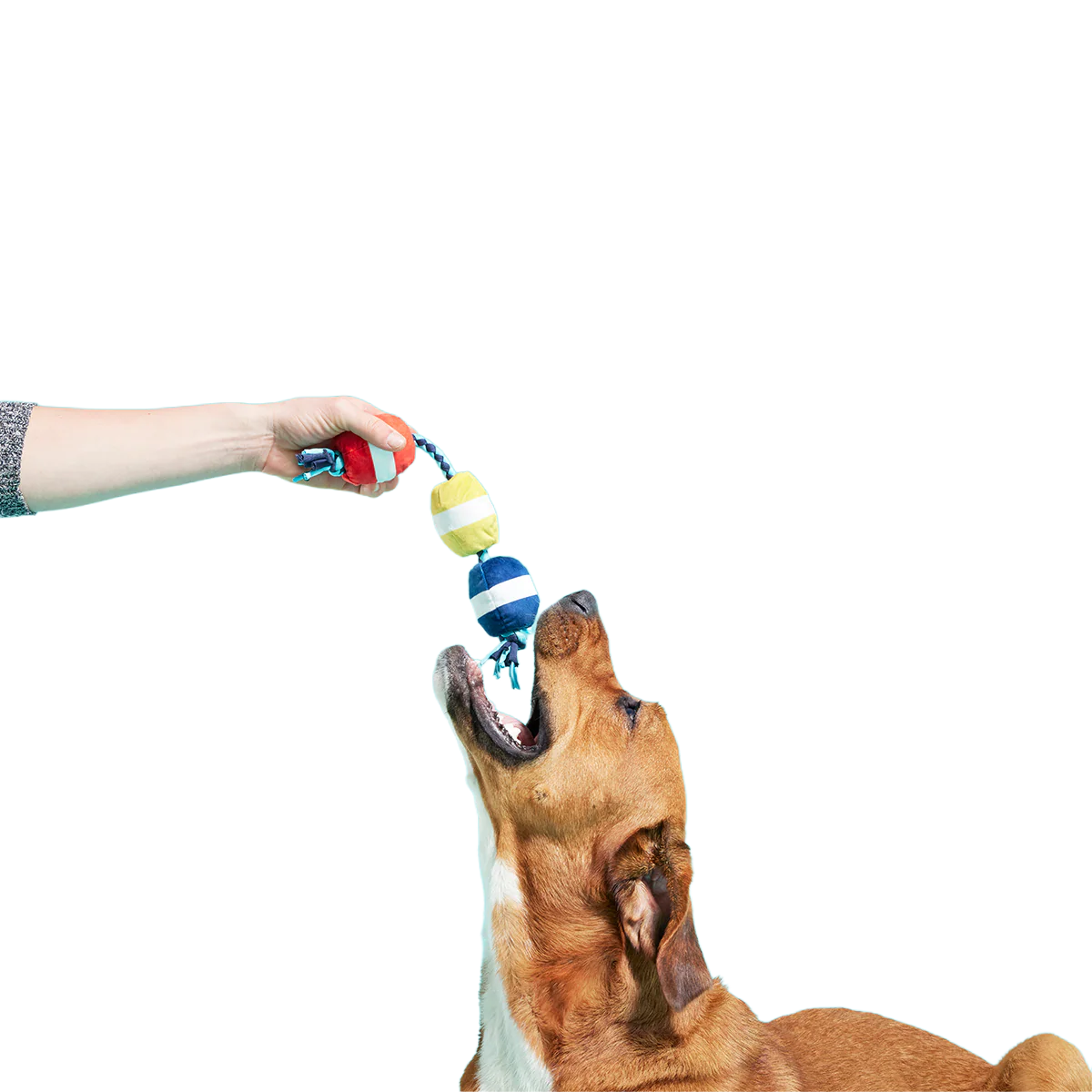Good Buoys Plush Tug Dog Toy