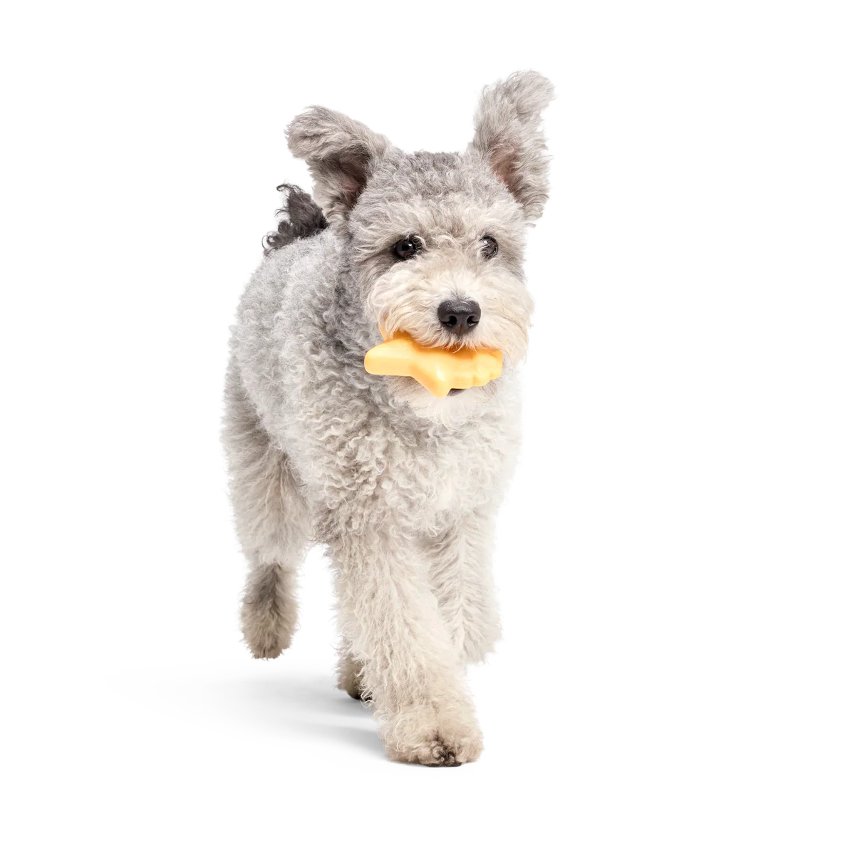 Woodstock's Star Super Chewer Durable Gnaw Dog Toy