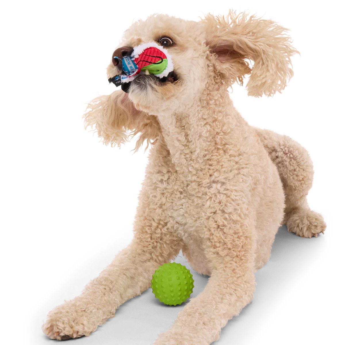 Sushi Roller Super Chewer Durable 2-in-1 + Fetch Dog Toy