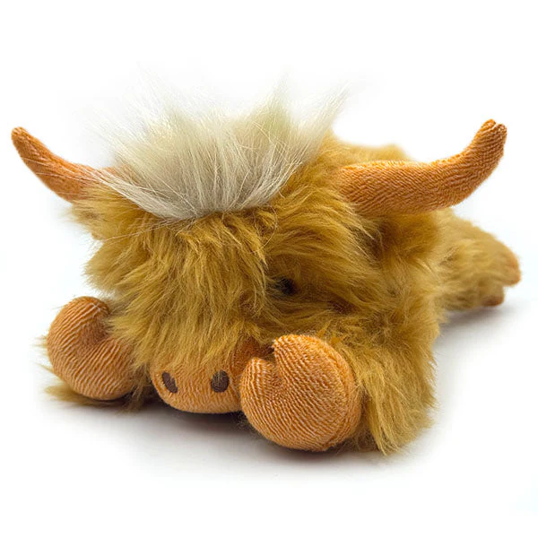 Highland Cow 11
