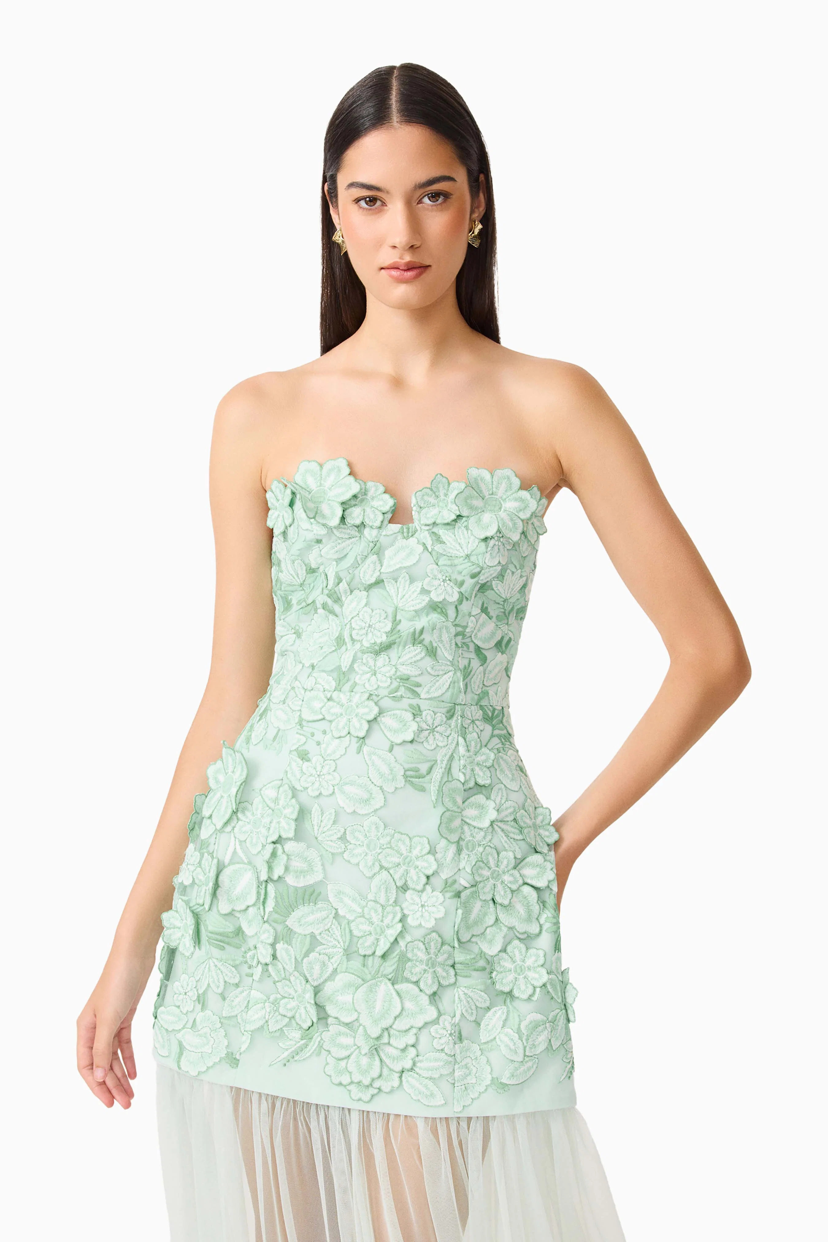 Roseate Strapless Maxi Dress in Mint Green
