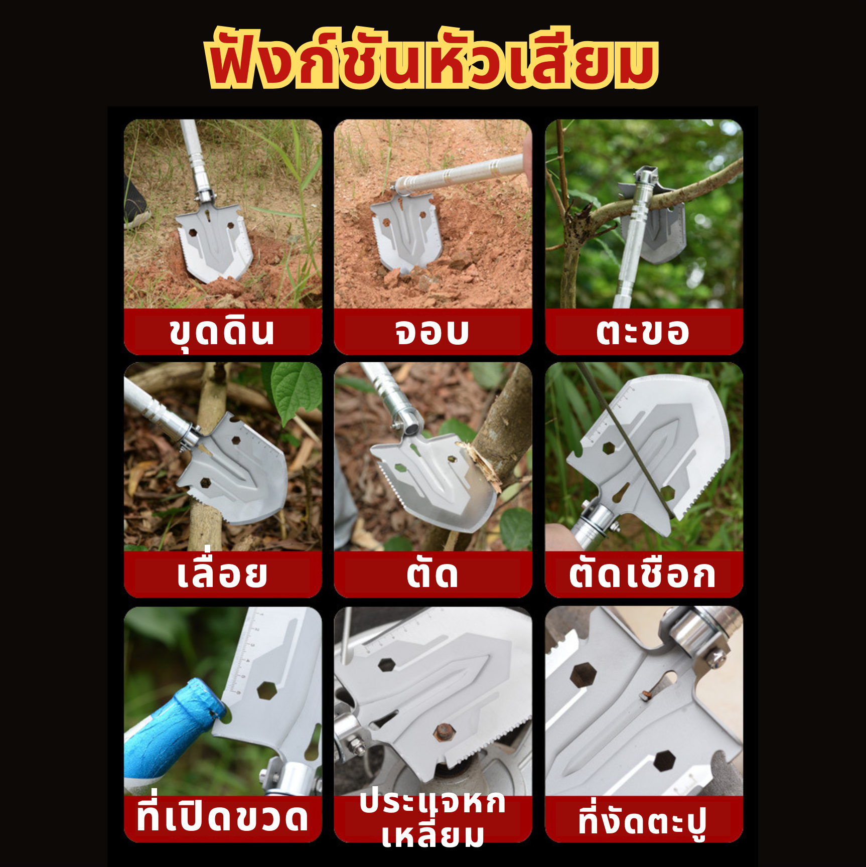 TH0000229