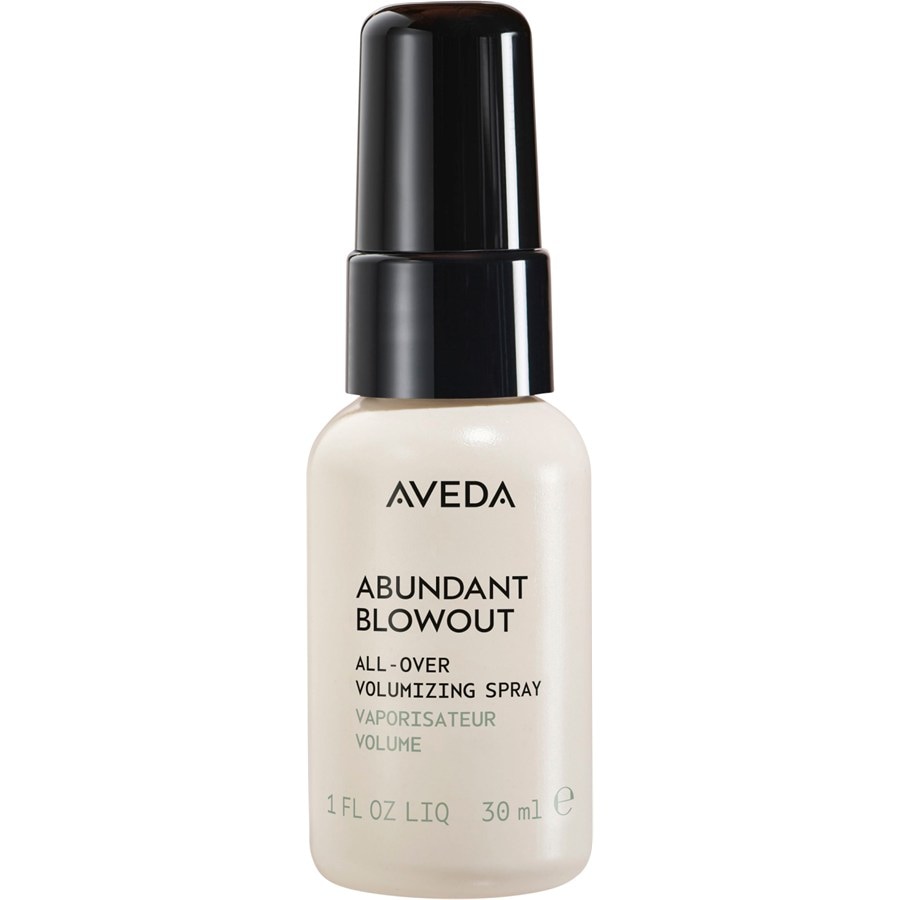 Aveda Styling Abundant Blowout