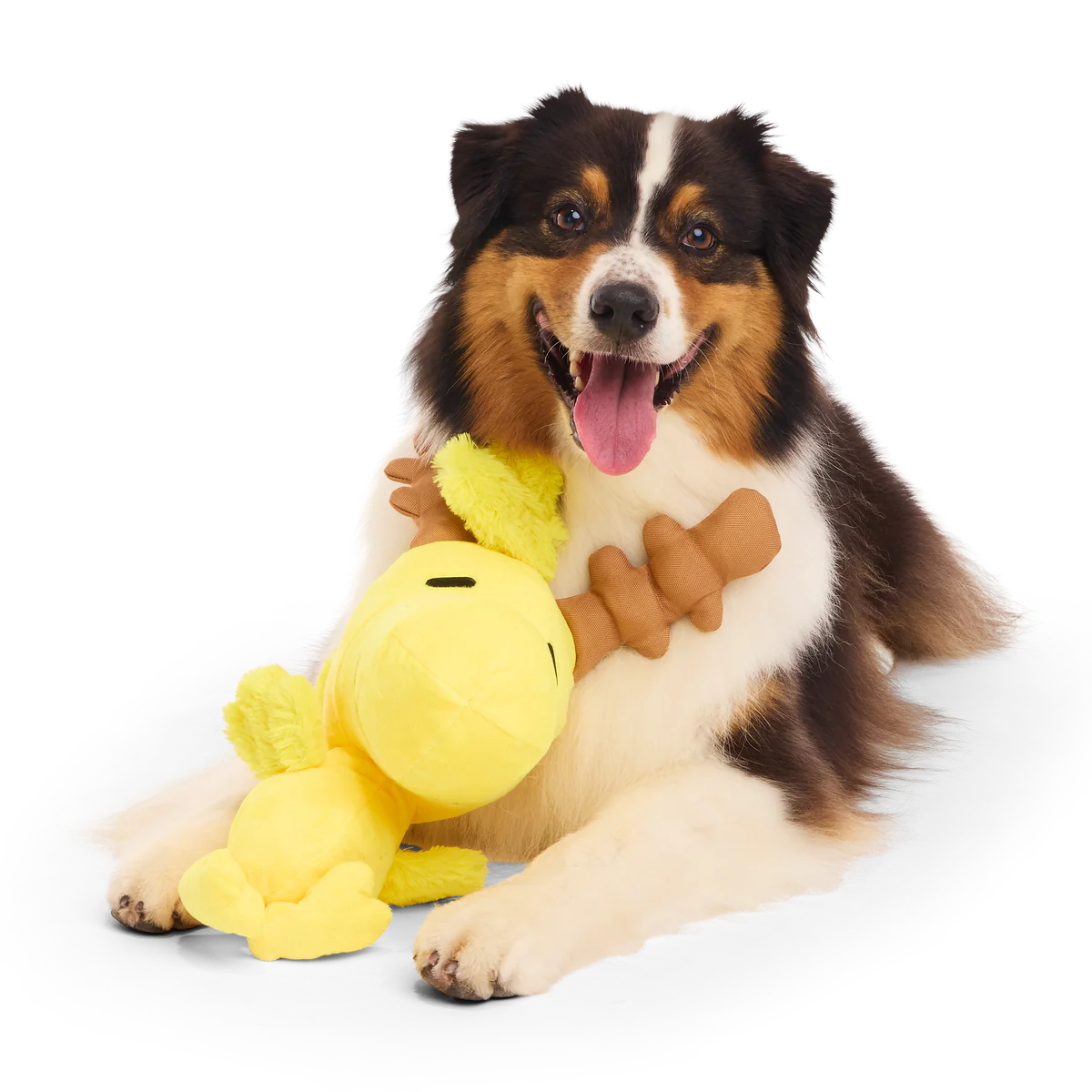 Reinbird Plush Extra-Large Dog Toy