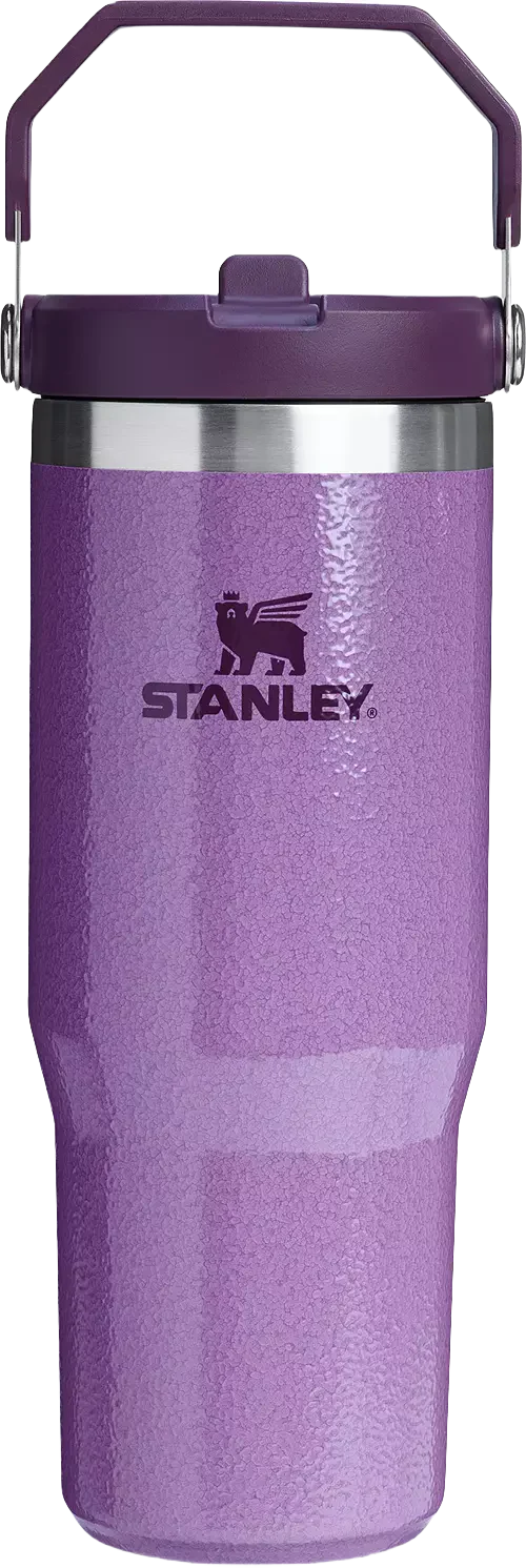Stanley 30 oz. IceFlow Flip Straw Tumbler