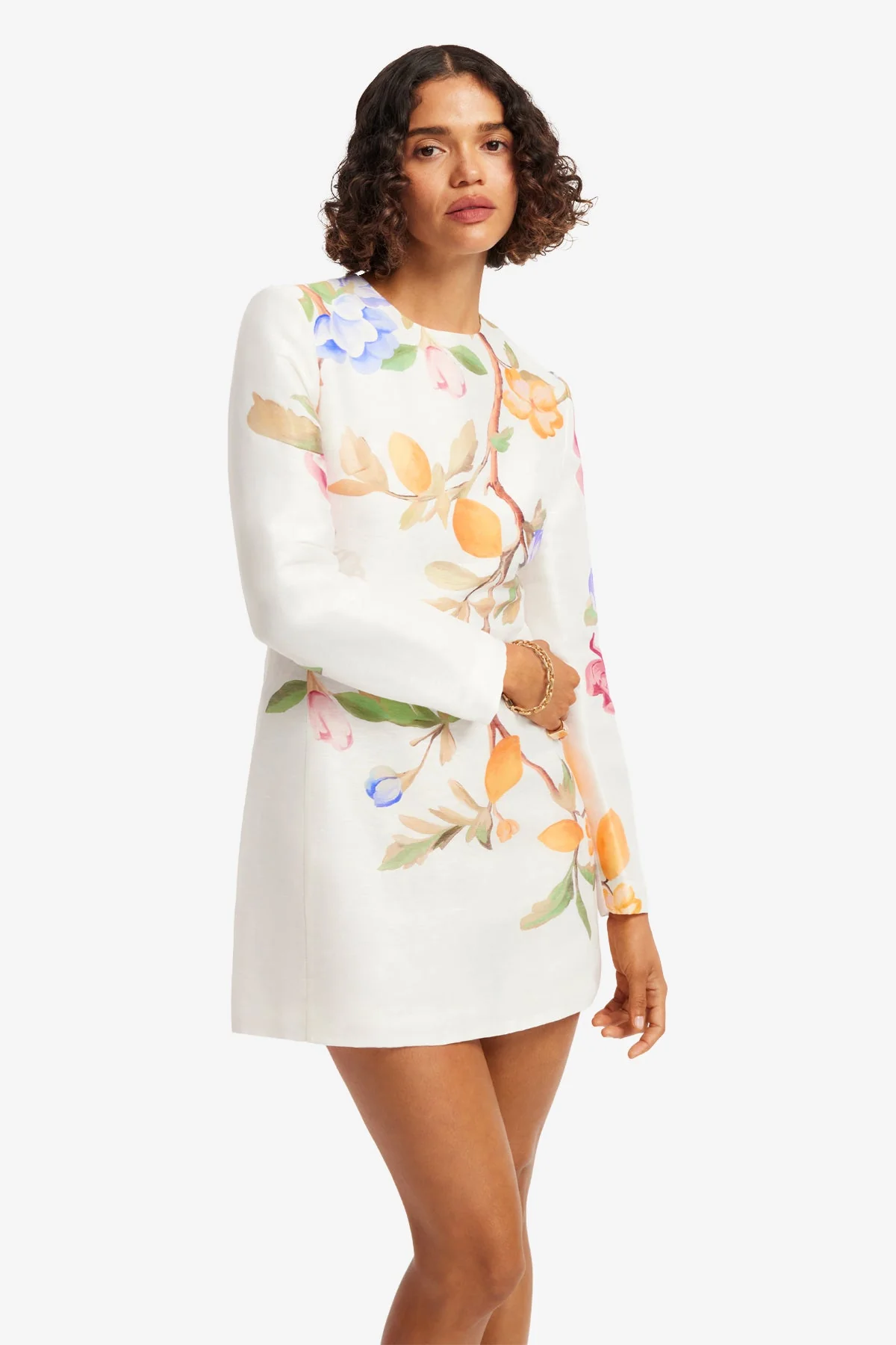 Aliza Long Sleeve Mini Dress - Lemon Vine Print in Snow