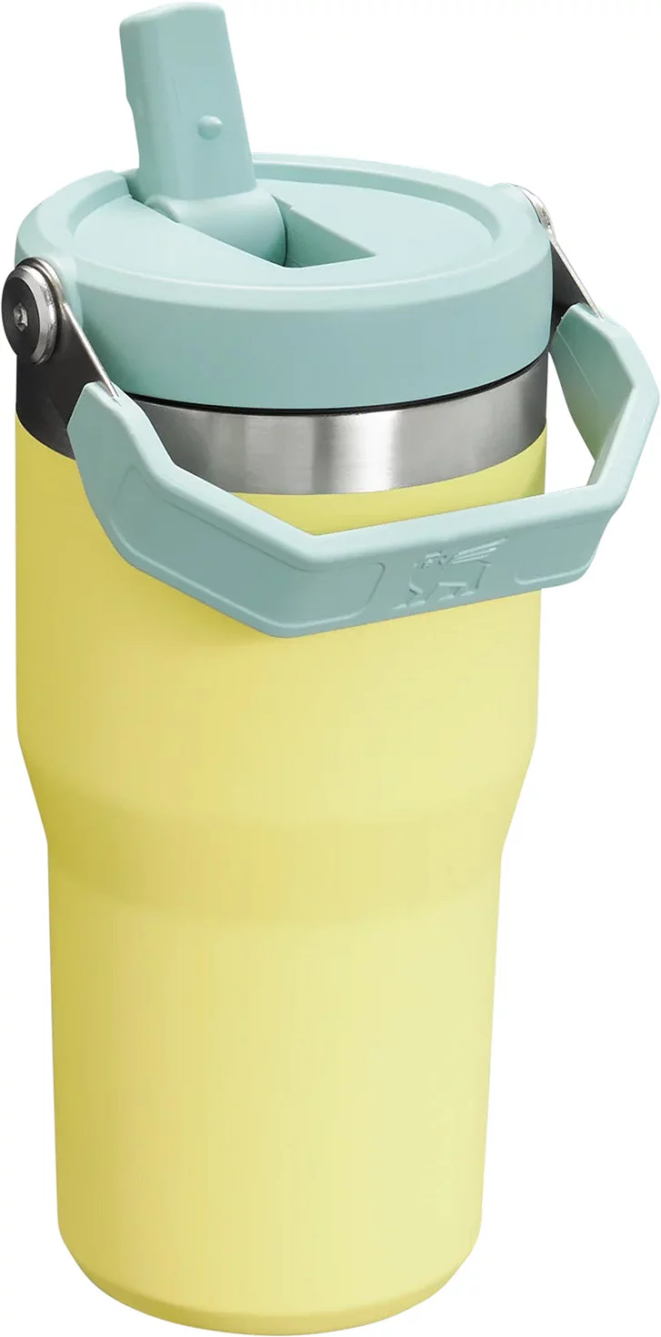 Stanley 20 oz. IceFlow 2.0 Flip Straw Tumbler - Pomelo